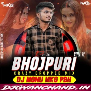 Jhakora Mare Jhulani [ New Version Bhojpuri Song Mix ] DJ MkG Pbh